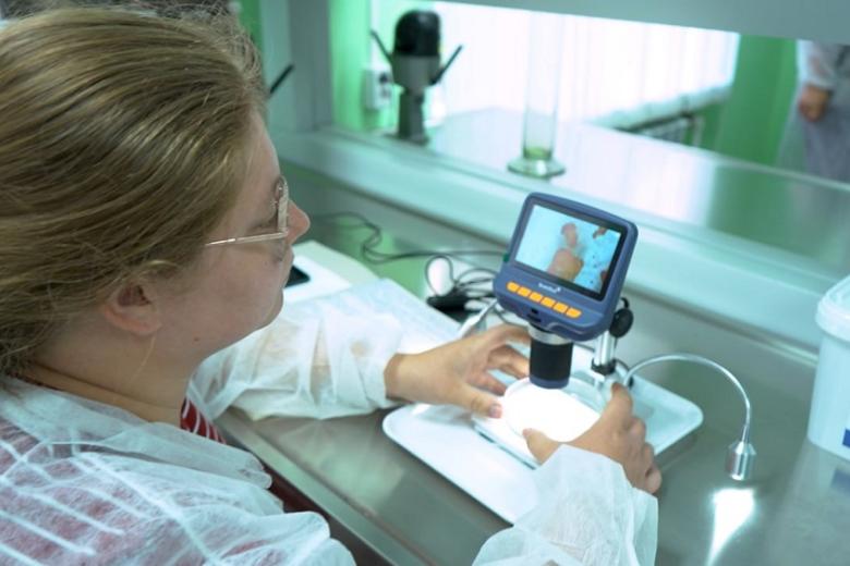 Учёные Вавиловского университета разработали интегрированную защиту сельхозкультур